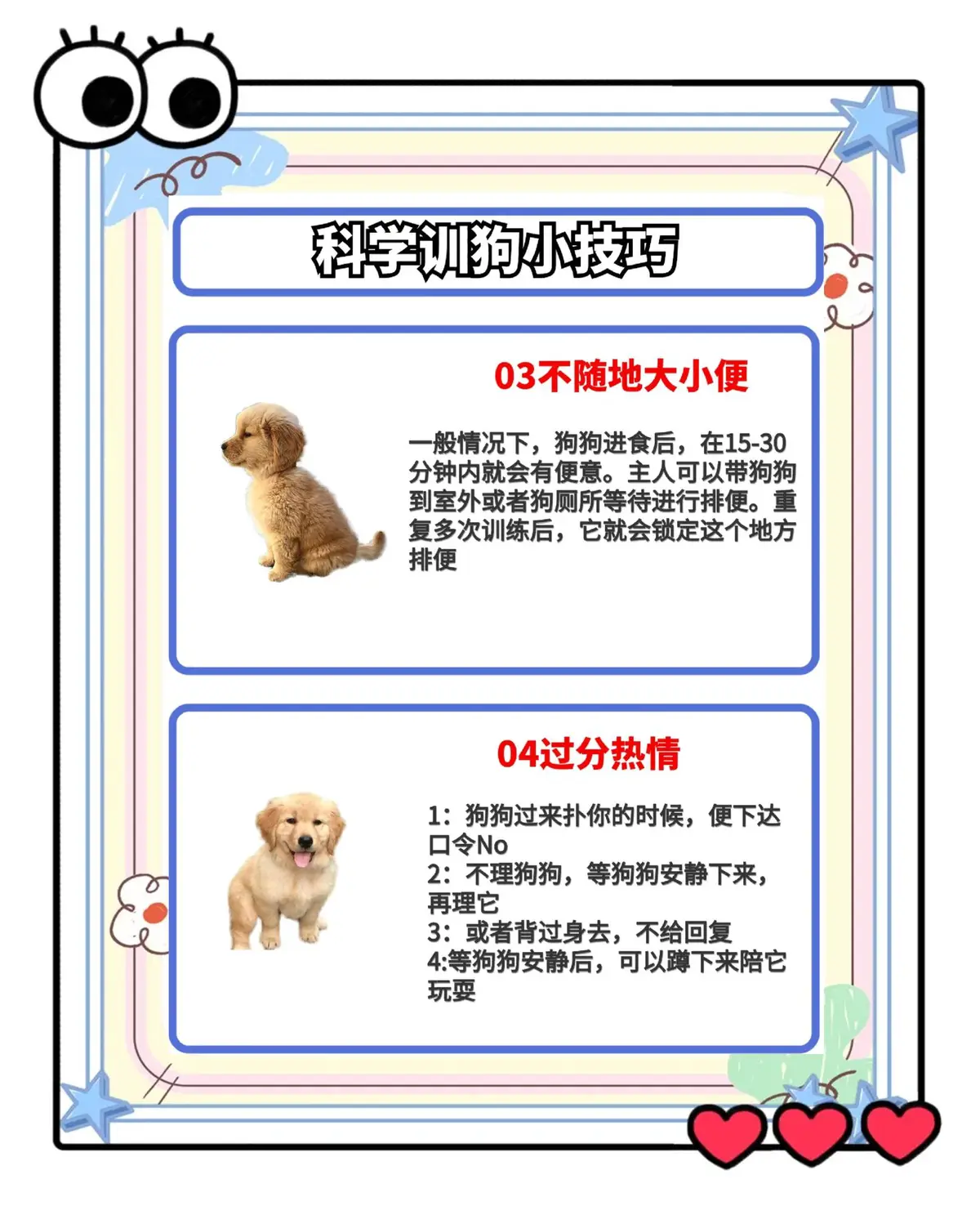 哪里有针对业余爱好者的篮球训练策略_0